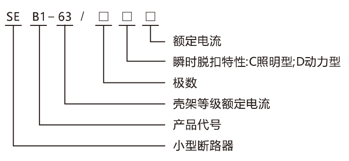 SEB1-63小型断路器产品命名规则.jpg